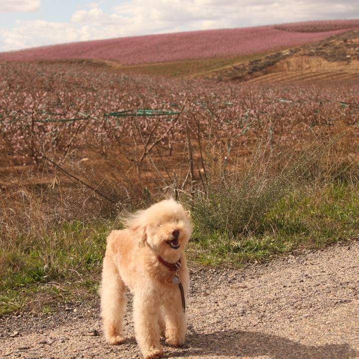 29f63772 07ed 425b b972 a6334492dca8 1520891590554