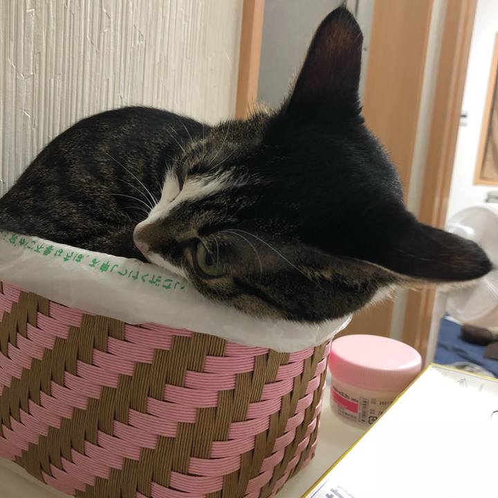 29f64e05 2ad3 47bf 8ddb fbe112205a6c 1534452960367