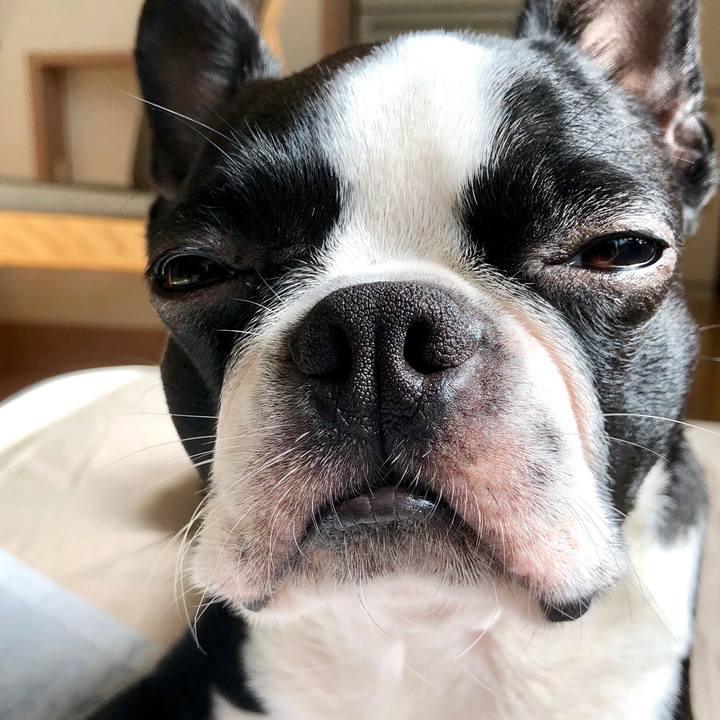 29f6963f 0d79 4866 8dcc 66e5fe9be4cf 1534033794754