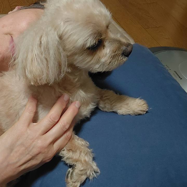 29f69ccf 6900 471d 9b1b 9e9ae7aa8b4e 1753864415515