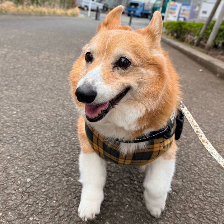 29f69e68 084e 4526 b527 a93b1db12193 1773397315802