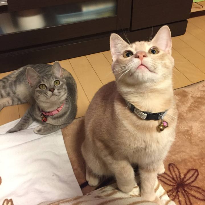 29f6a713 4dd4 40d6 b1c2 20d1480e3b6e 1542283500541