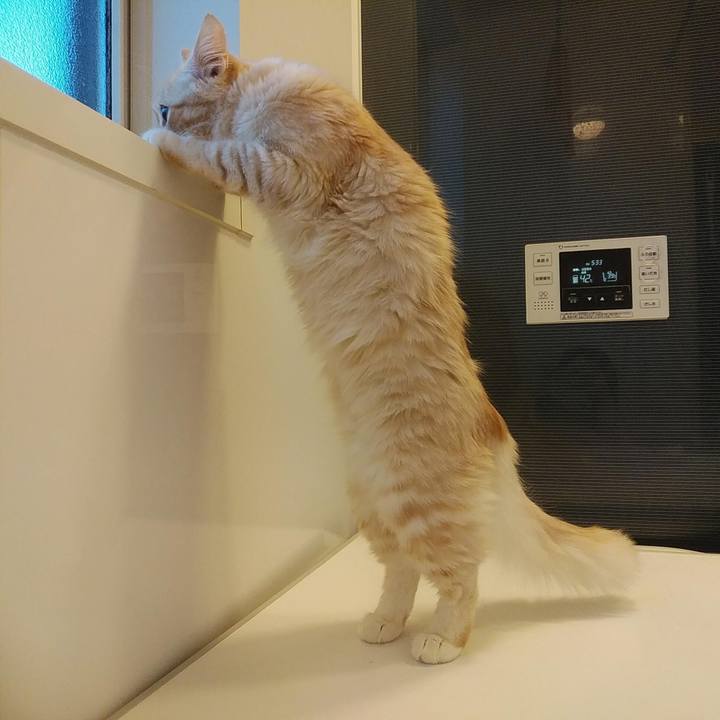 29f6b7d6 0c2d 4c63 8f3c e83c2cbc44df 1614244290857