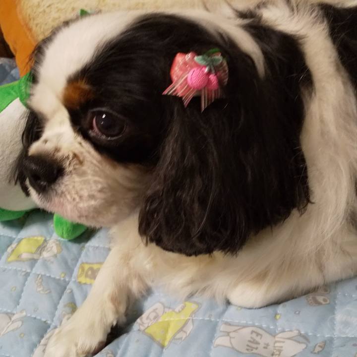 29f6e1cf 25b8 4842 835c 08f8b4b04d53 1569061464285