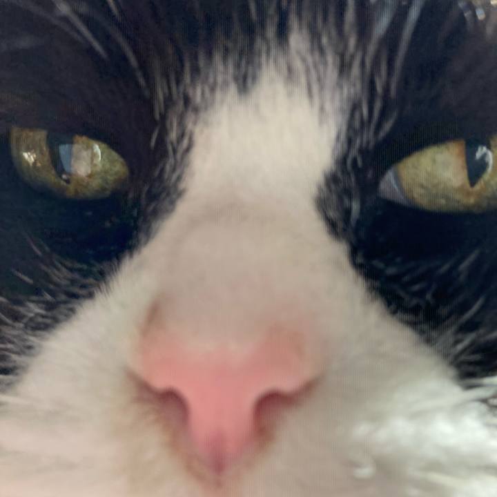 29f6e43f 641d 48a6 86b2 5eb3f6b0ccd5 1638575595872