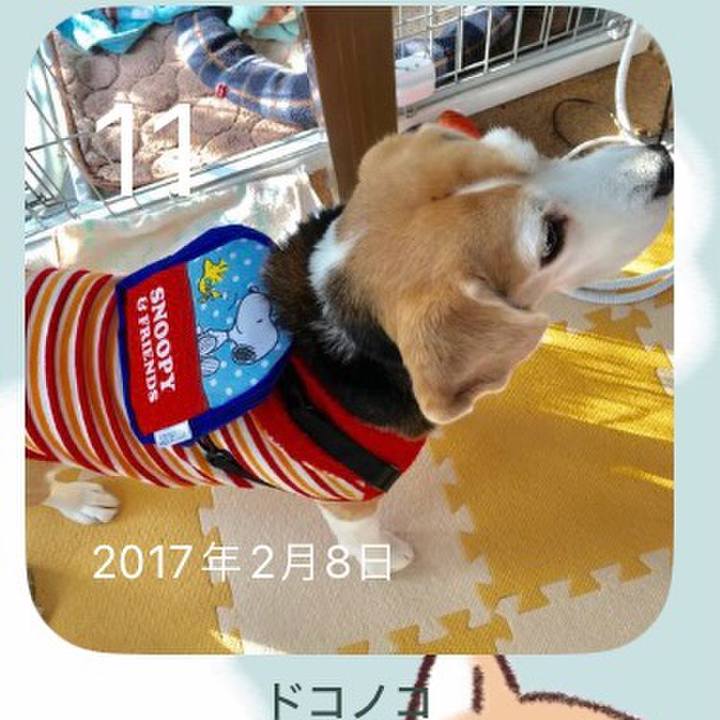 29f6f65a fae4 41ff 81e9 ad581786a4f5 1707608708245