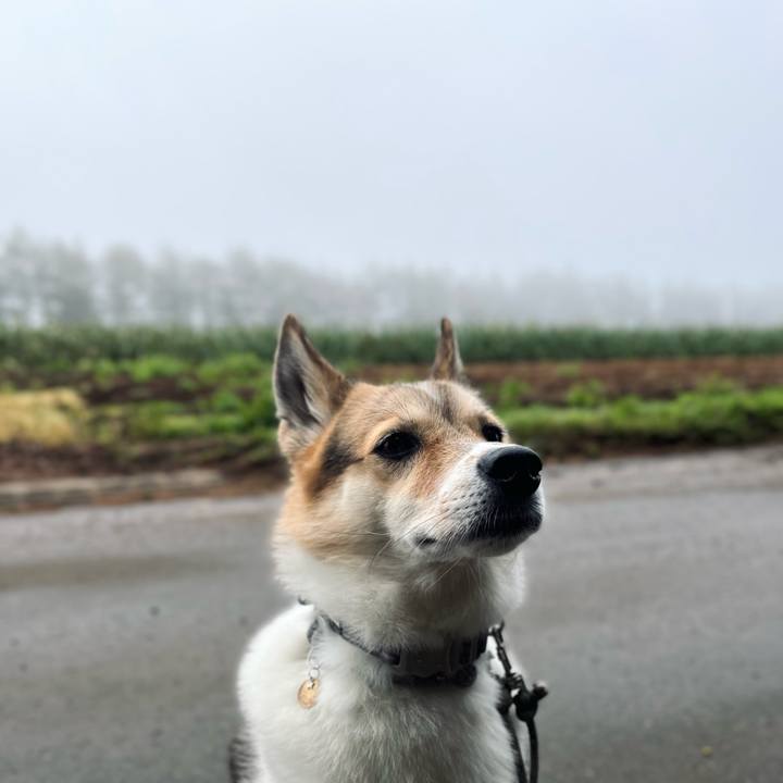 29f6faa7 d8dc 4389 a440 1a08833844d4 1759622077418