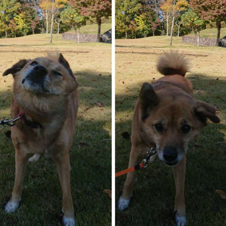 29f6fb19 02f4 4958 b15c 608d87b43a5f 1636286878770