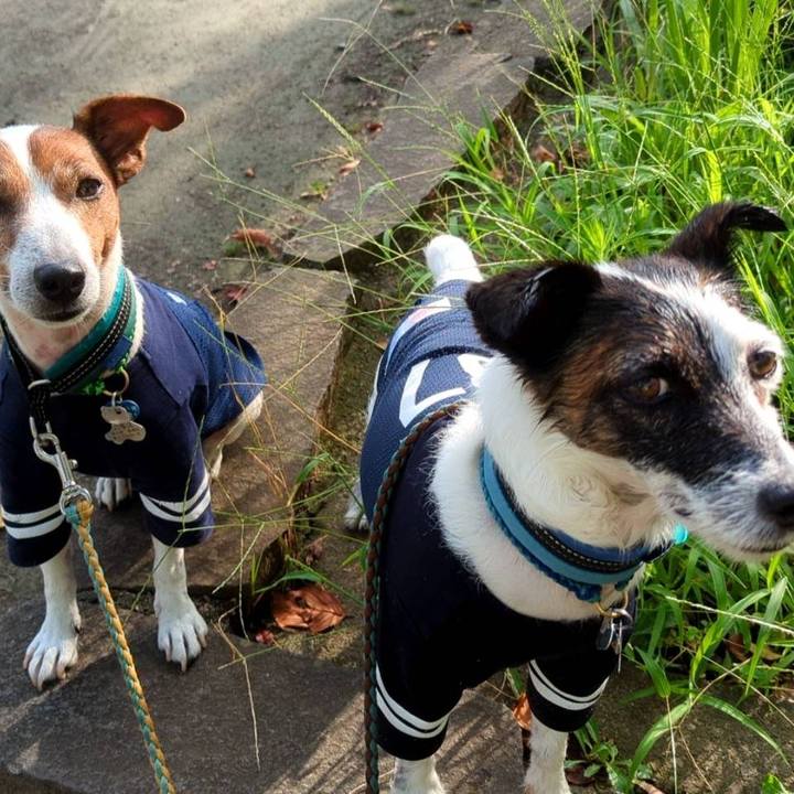 29f70254 ddb8 4e12 a8e7 226c686da25c 1723674093152