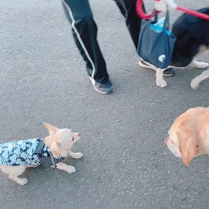 29f717f3 3bed 4428 b011 b1d5182eb27a 1608545545626