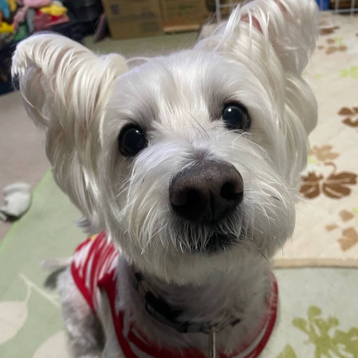 29f71a2b f208 4f79 b37c c17793d99507 1734123429125