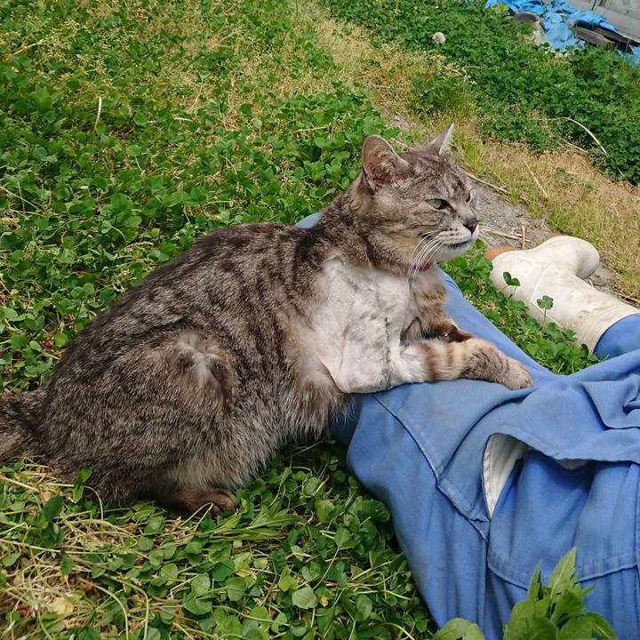 29f71b27 3cc4 4c99 9278 2114458a4dfe 1589596690235