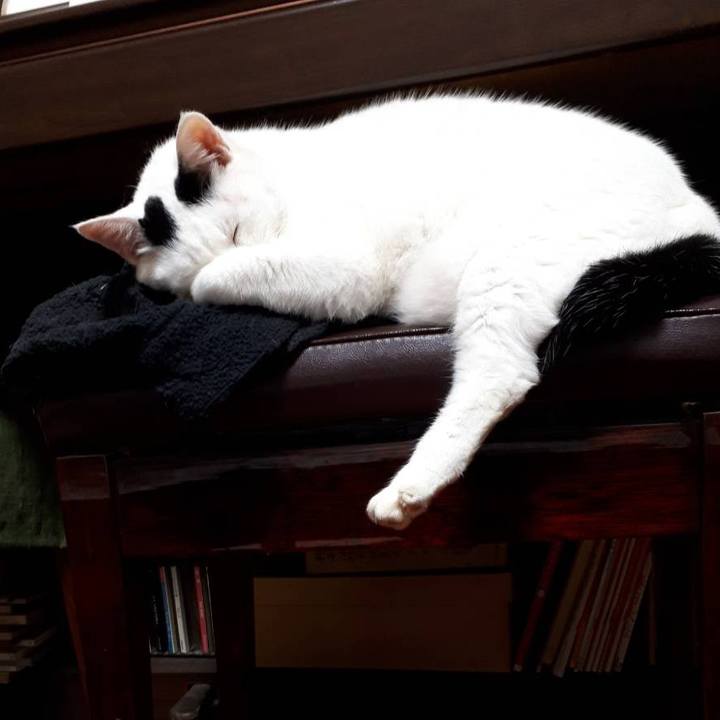 29f727aa 4b40 4175 a9eb 5335f62ac2d8 1570978520452