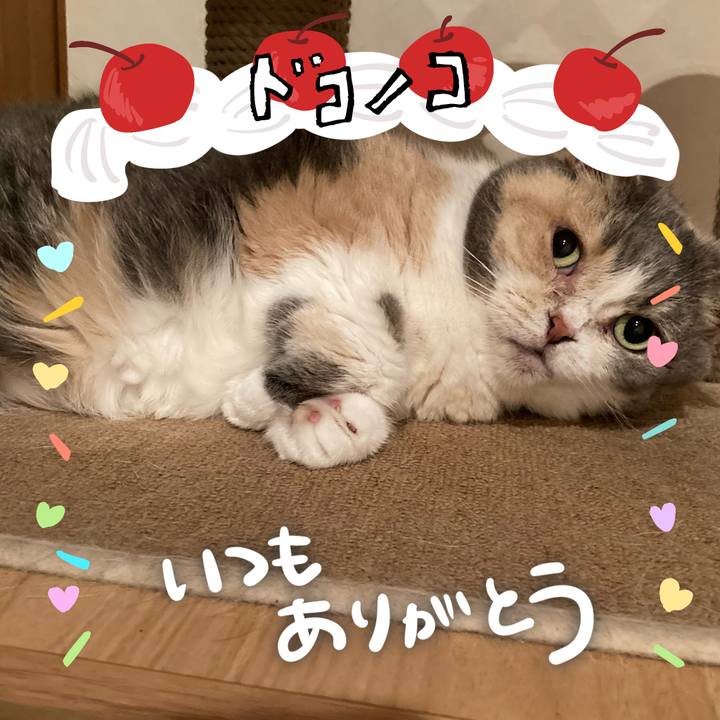 29f780d9 38e5 4447 aa4f 8746460bc406 1685945869584