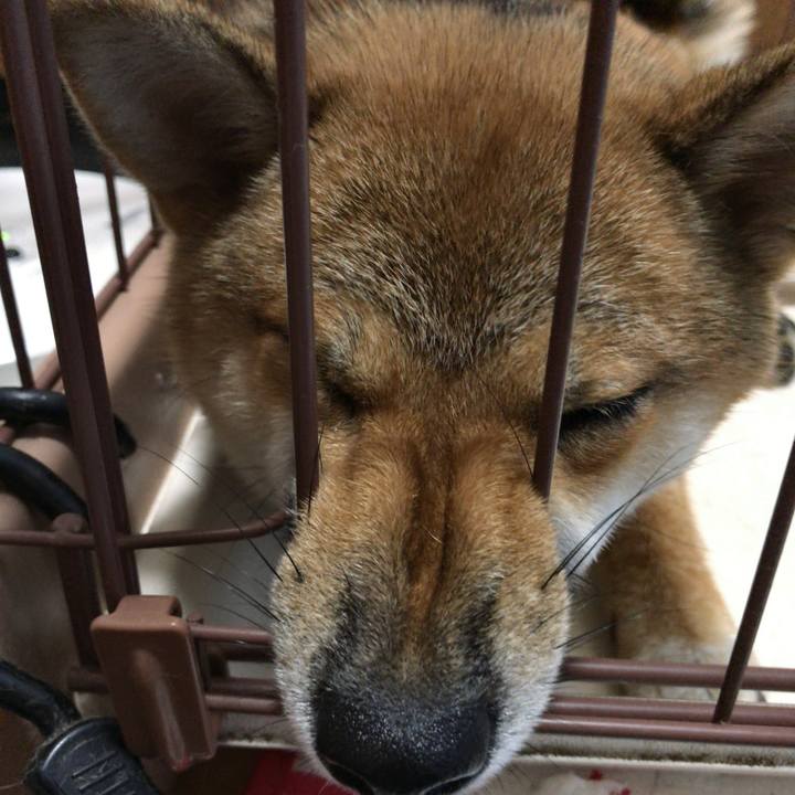 29f7b63e e0fd 4a36 b393 89000acbad2c 1517220242484