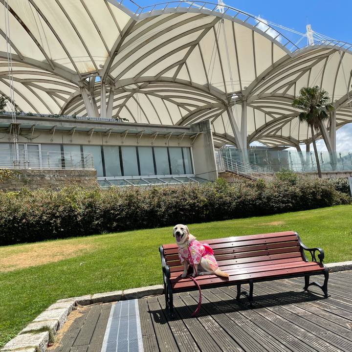 29f7c50c a884 4b80 9a7e b74951c353ea 1628484539207