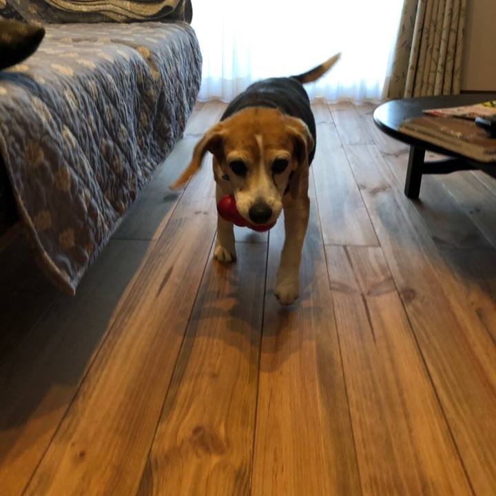 29f7df54 07c7 45ec a9d0 eab95a52baaa 1559376000236