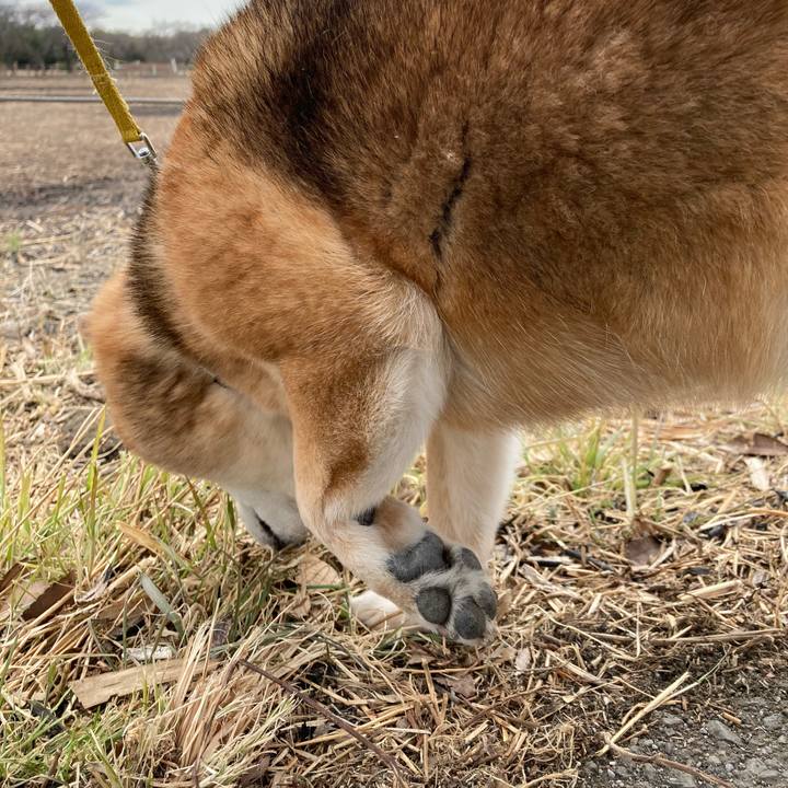 29f80de4 2f51 4667 b8c9 ec405273aff7 1642911119934