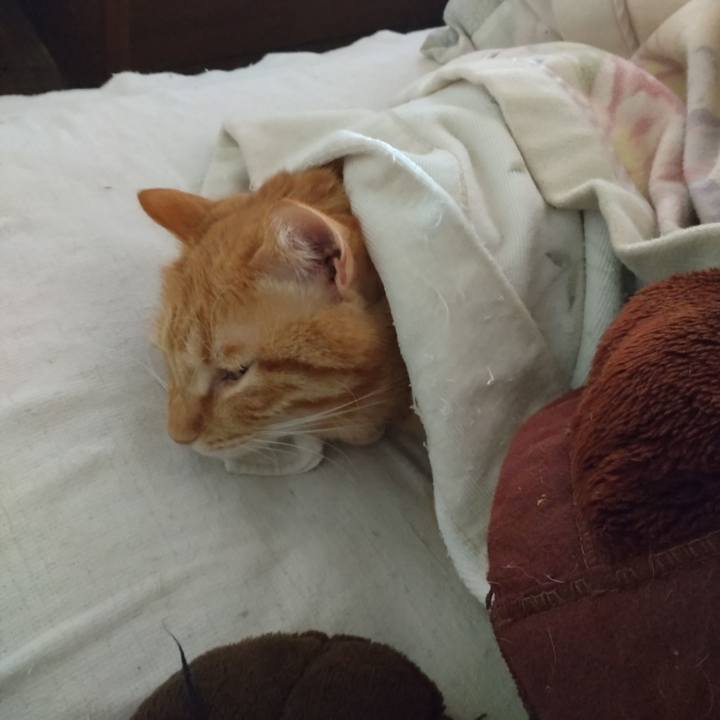 29f8226f 13bf 413d 8723 8dac390beac6 1739175625218