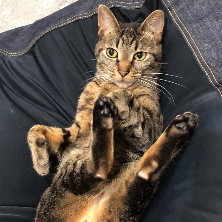 29f82404 71ce 40a7 9b5f 8233ce34b55c 1532620103483