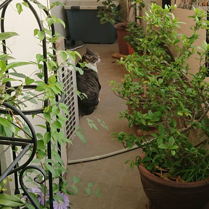 29f867ee 6d36 410d 902d c6fc583558e5 1525412980792