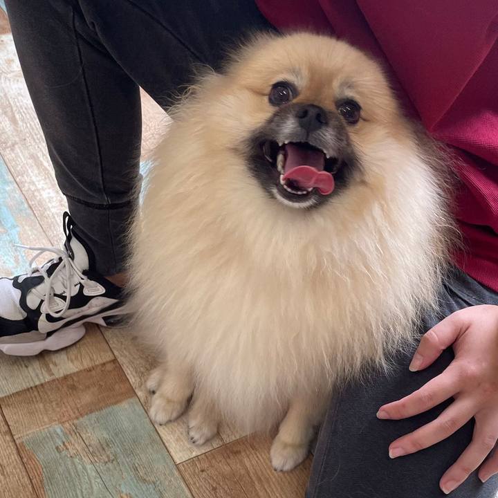 29f8817d 5206 46a7 bc12 5643c64ebb16 1665371816098