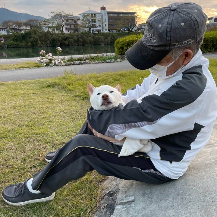 29f88c44 bd4a 4018 8c78 a78faf76841d 1668856804078