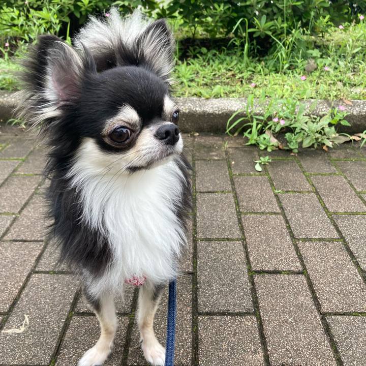 29f90a08 03bb 40a9 9b82 9cade68113f5 1625980189087