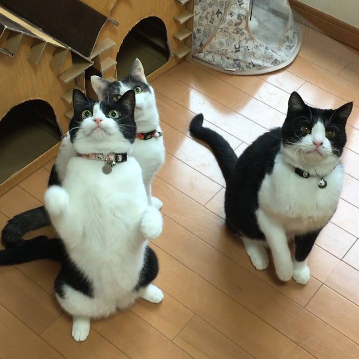 29f90b59 bf9d 4a75 a590 d79cb629f469 1509246942962