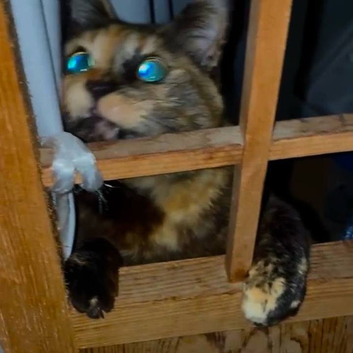 29f969c1 3e02 4355 9309 0216f1c7a976 1773952366829