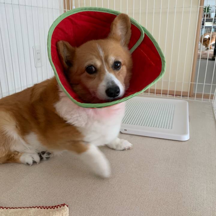 29f97d26 c408 40dd 9a56 f3647f2598a1 1688613261367