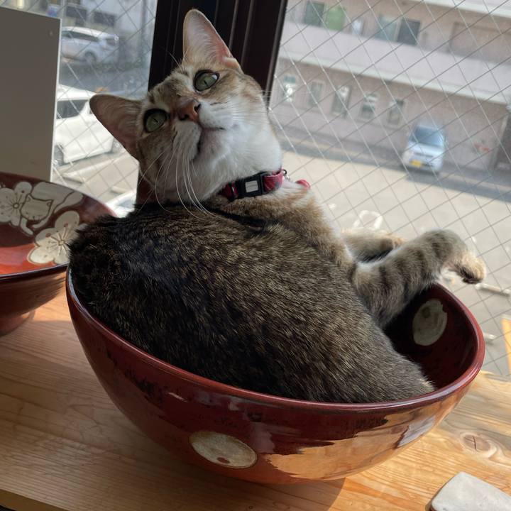 29f97f61 2f93 4407 8bce 10a776c04c05 1743135897315