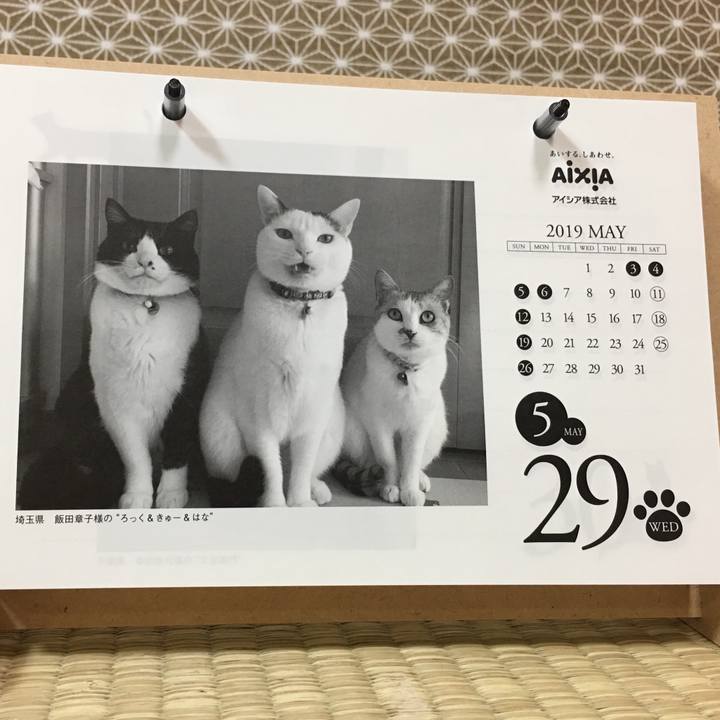 29f982b7 b1a7 44e2 a91f 2f7ef93a6d5e 1544414633229