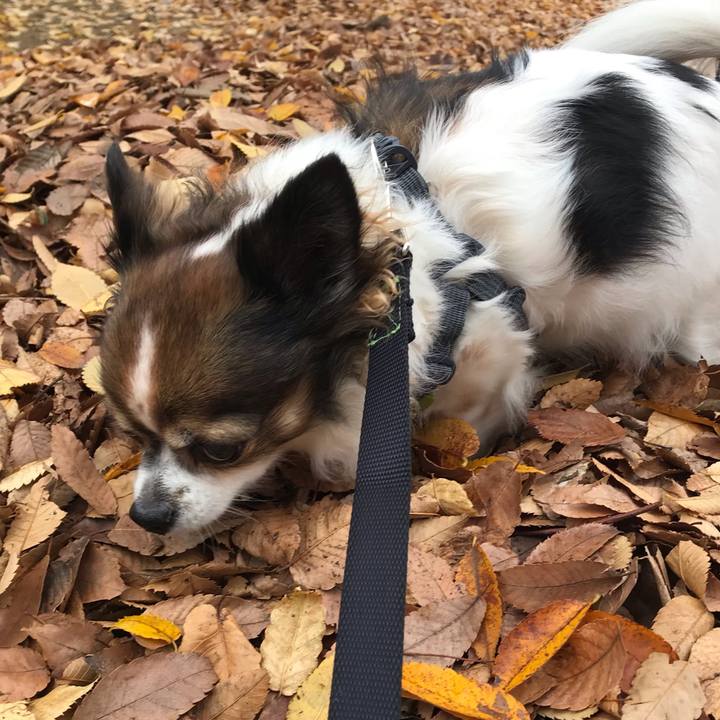 29f98324 90b2 4bc2 ad22 f818ed795daf 1607574301379