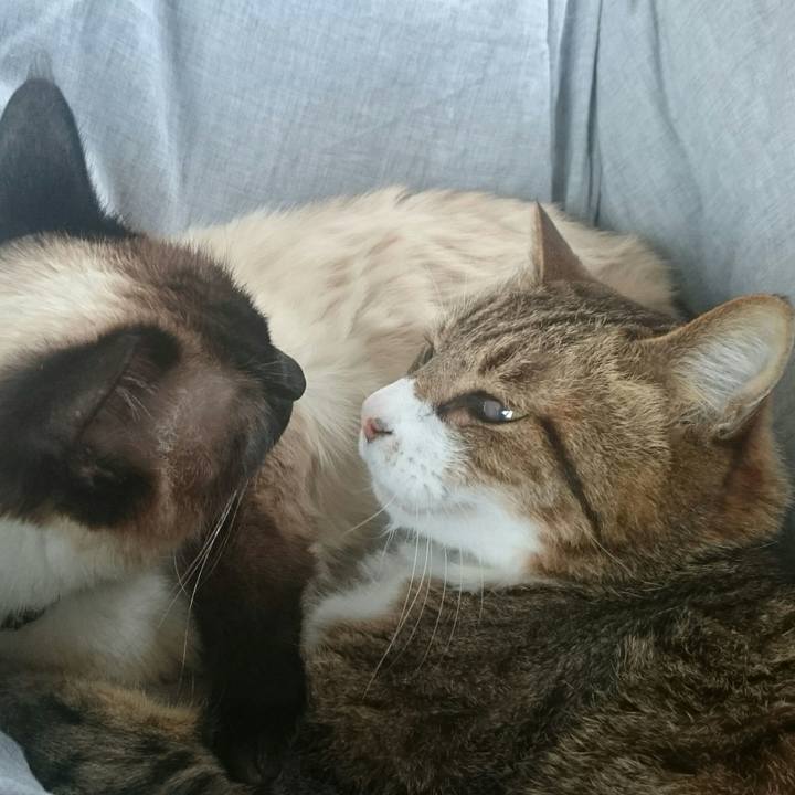 29f985b0 2ad3 437f a4a5 b3038097e464 1523315686392