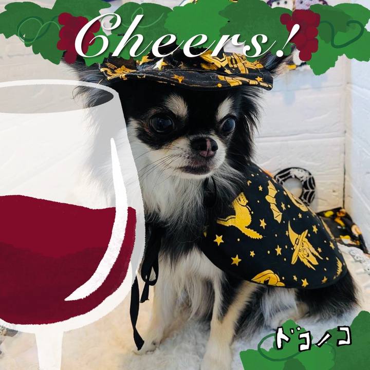 29f99abf d7fc 41d4 908a 26fb8a0208c0 1761901054464