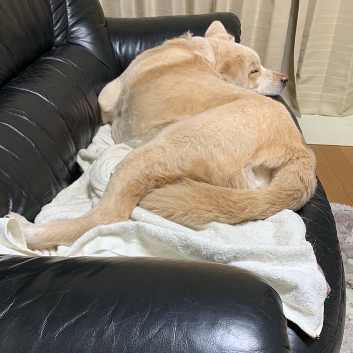 29f9b683 585a 429b 9422 60f78db00acf 1555250370521