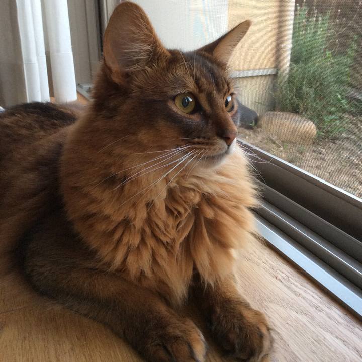 29f9c4f6 b997 46c3 916c 9d6ef83d902d 1623233120646