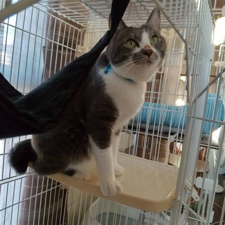 29f9d064 da20 4906 b5ee 8089803bbe4f 1628632969705