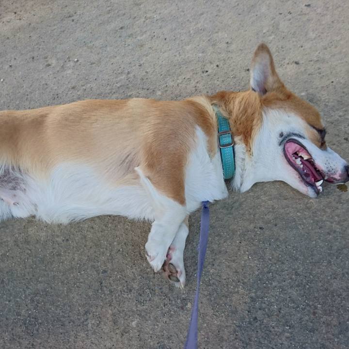 29f9d1df b8af 4783 95cd eaf724e8b60d 1597550627492