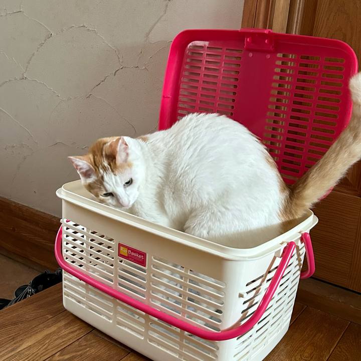 29f9f635 3e8c 4f49 8df9 28f95b591817 1693454384755