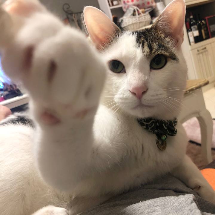 29f9f91b d36d 4fc8 8c76 b0cbf59772d7 1572952708399