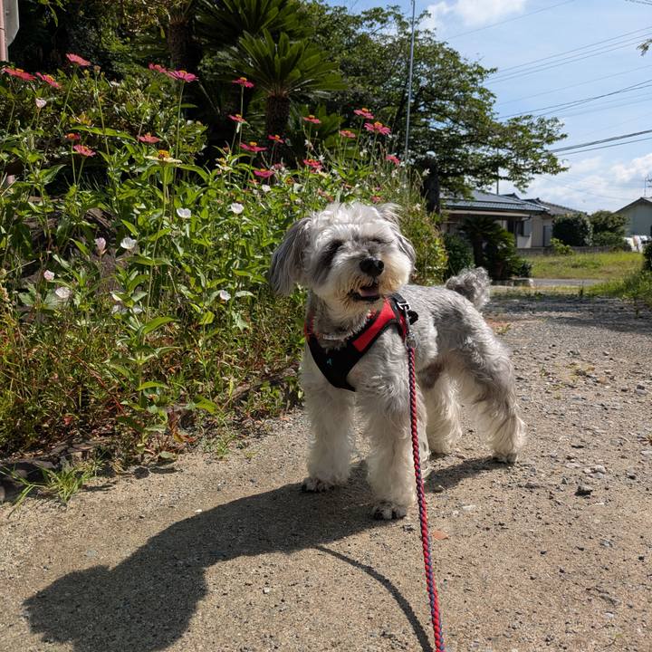 29f9fc20 9176 4726 9cd8 44d6bbc19913 1751902312975