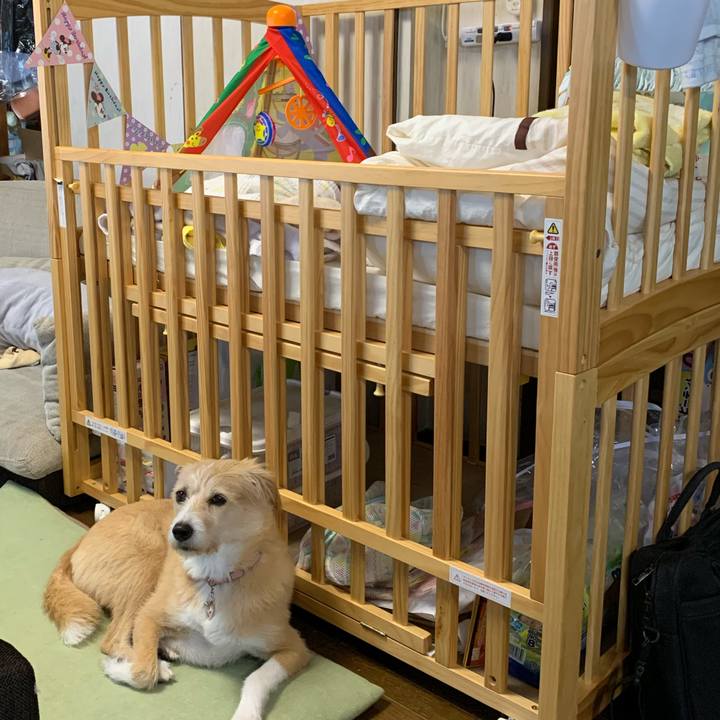 29fa164a 1890 4a7d a8f6 a185630182ce 1571721312175