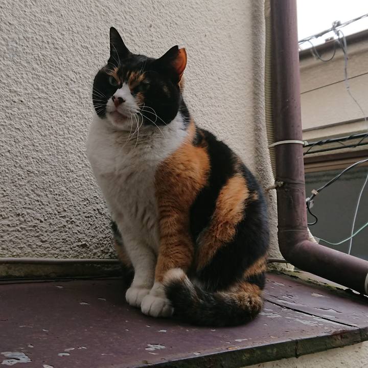 29fa1814 b55b 49ab ab81 5ea15f1bf575 1581895103610