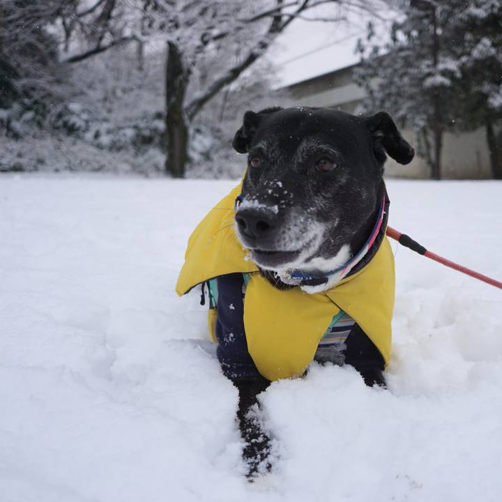 29fa19aa 84e0 47b7 b7e0 6d1808af308a 1770508658714