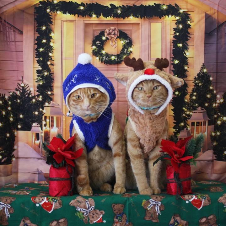 29fa3abf 202d 4f3f 9793 9a7bbff1c103 1735091033488