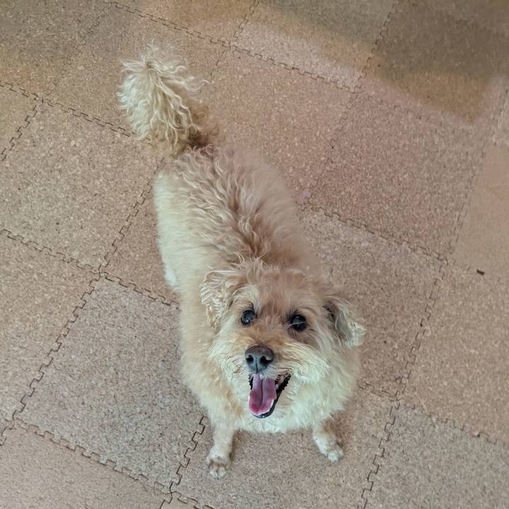 29fa3bdf 568d 46a5 ac8f f3ed3d9e8535 1751580822160