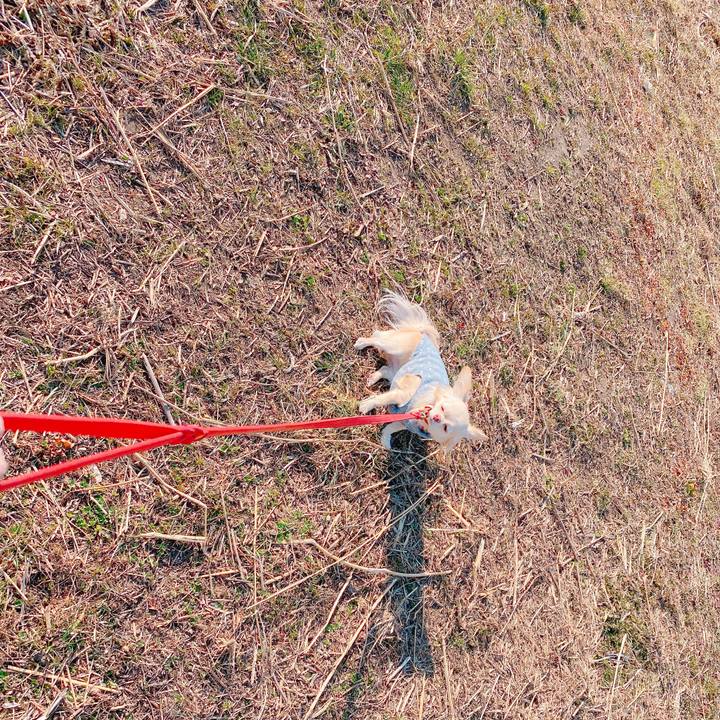 29fa41e3 ebcc 4a02 a3c8 aabe129e1075 1644303973501