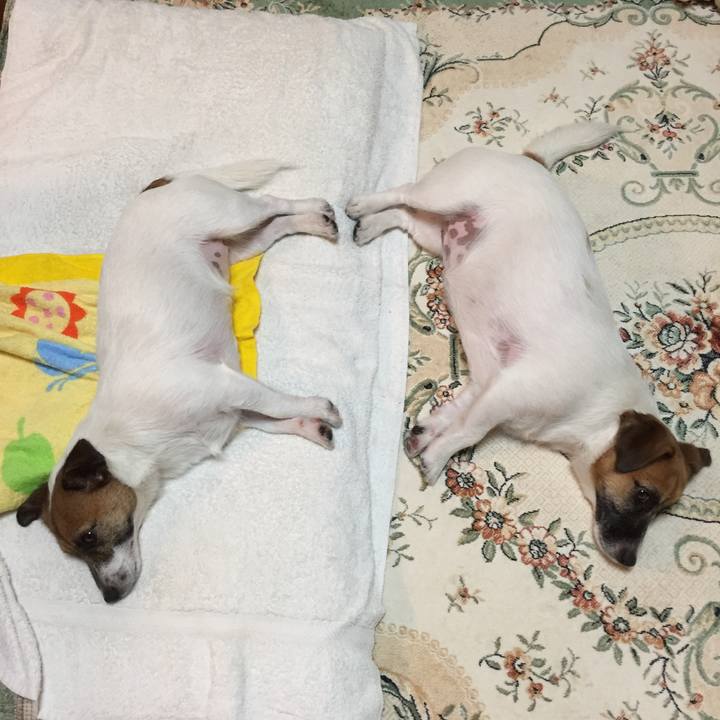 29fa5141 15ae 4e6b 9b75 230df1a89bbd 1533551585489